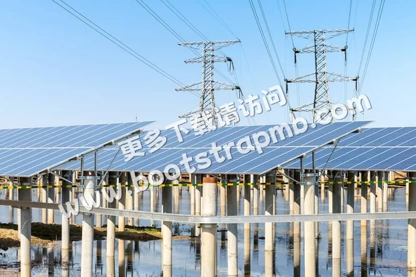 赛事动态：资讯、技巧与精彩集锦 - 巅峰国际